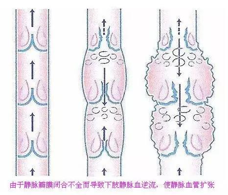 圖片16.jpg